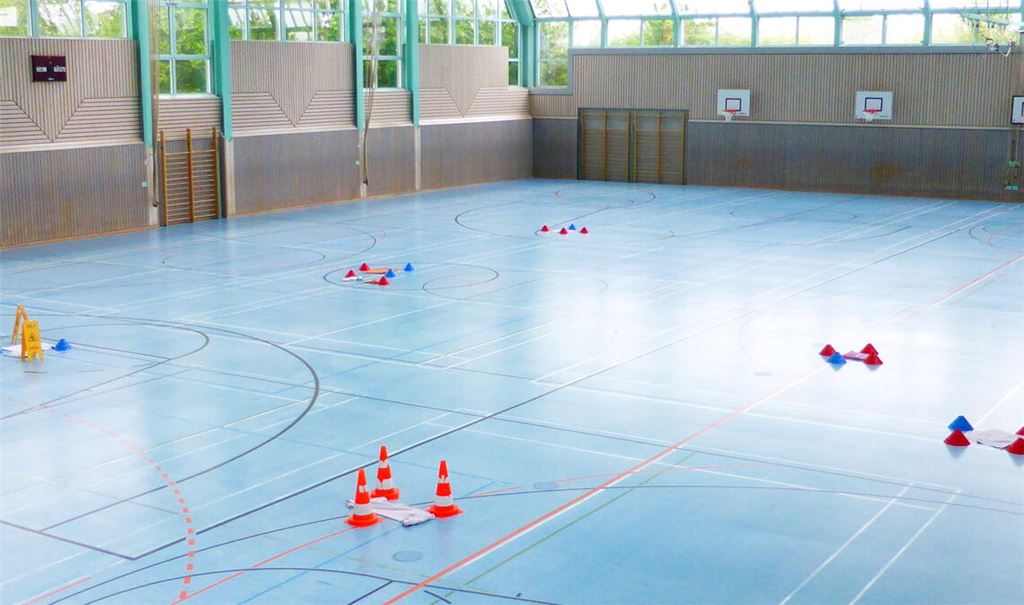 Dringend sanierungsbedürftig: In der Schefenacker-Sporthalle in Maulbronn dringt Wasser durchs undichte Dach ein. Foto: privat