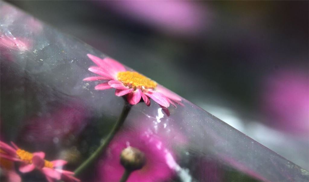 Droht im Mai noch Spätfrost?