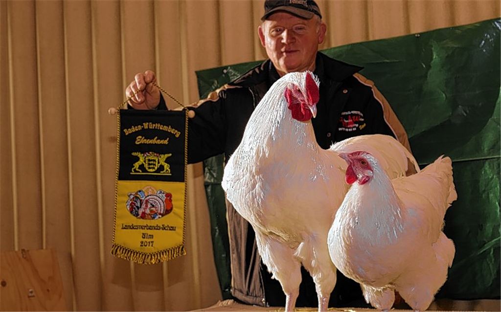 Bloß nicht über einen Kamm scheren