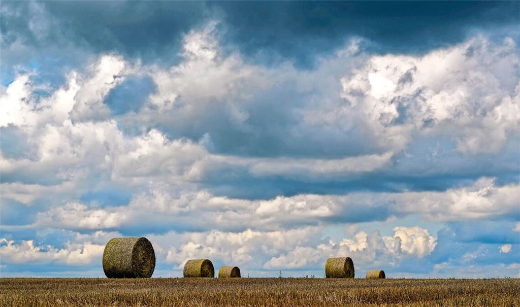 Dunkle Regenwolken ziehen über ein abgeerntetes Getreidefeld mit Strohrollen (Symbolbild).