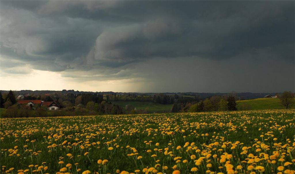 Dunkle Wolken und Gewitter wird es auch in den kommenden Tagen geben. (Archivbild)