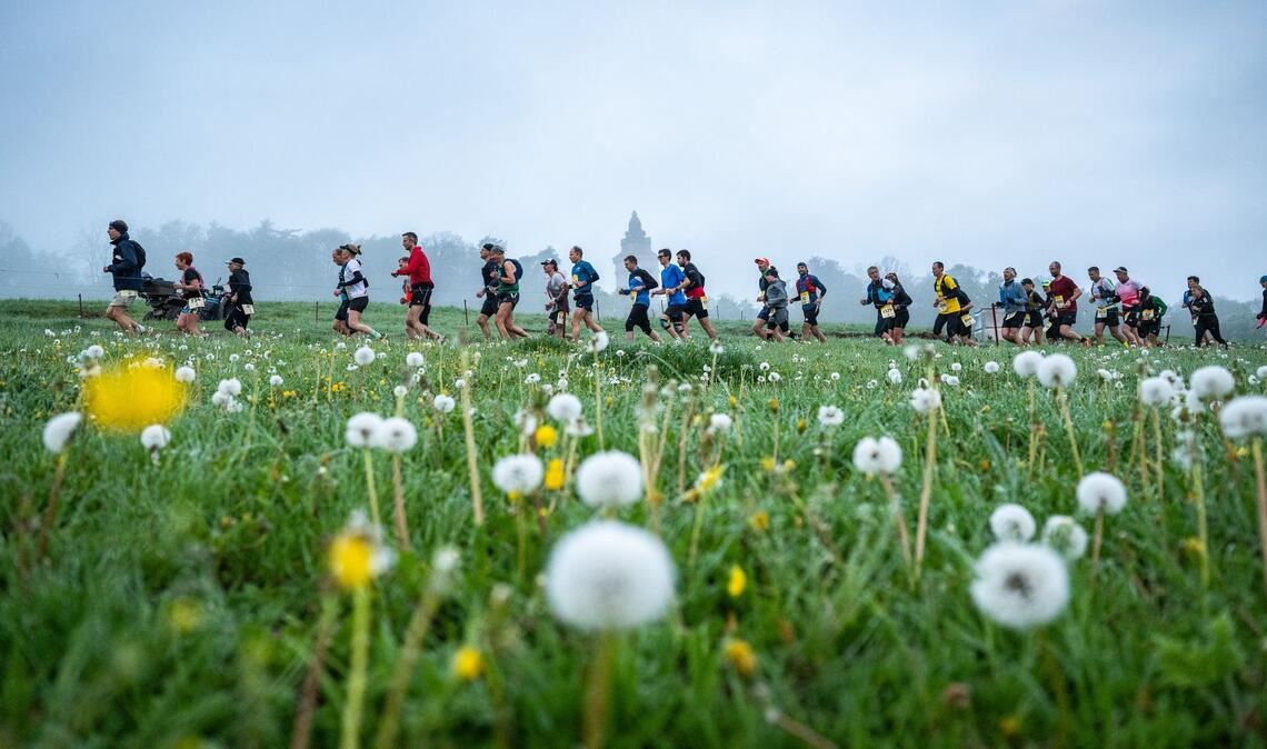Durch die Botanik: Läufer sind beim Rennsteiglauf auf der Supermarathonstrecke bei Eisenach unterwegs.