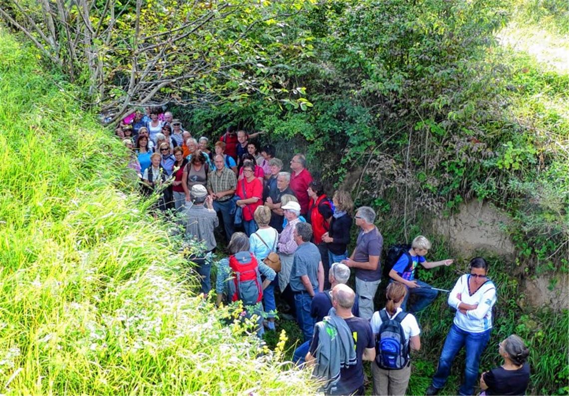 Durch diese hohle Gasse müssen sie kommen: Die Wandergruppe von Gym and Dance und Mühlacker Tagblatt durchstreift den Kraichgau.