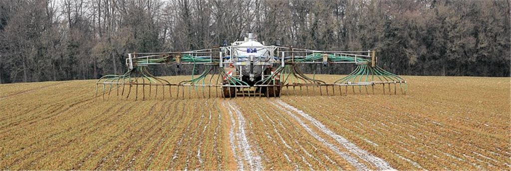 (K)eine Geruchsbelästigung