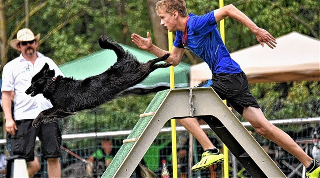 Hundesportler holen gleich drei Titel