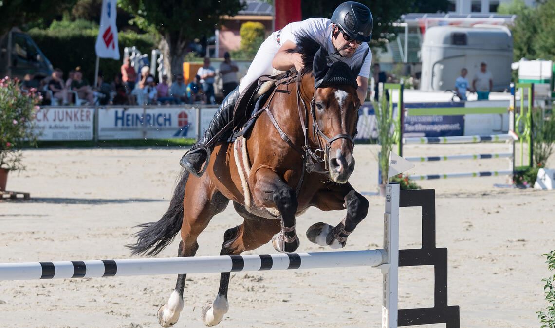 Dynamisches Kraftpaket: Benjamin Wulschner weiß seinen Hannoveraner „Diamant de Plaisir“ zu führen. Er holt den Großen Preis der Sparkasse Pforzheim Calw. Fotos: Fotomoment
