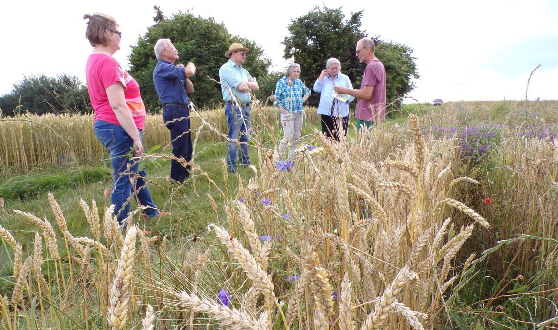 Eberhard Rapp erläutert der Gruppe des Schwäbischen Heimatbunds den Anbau einer Züchtung seines Bruders Manfred. Foto: privat