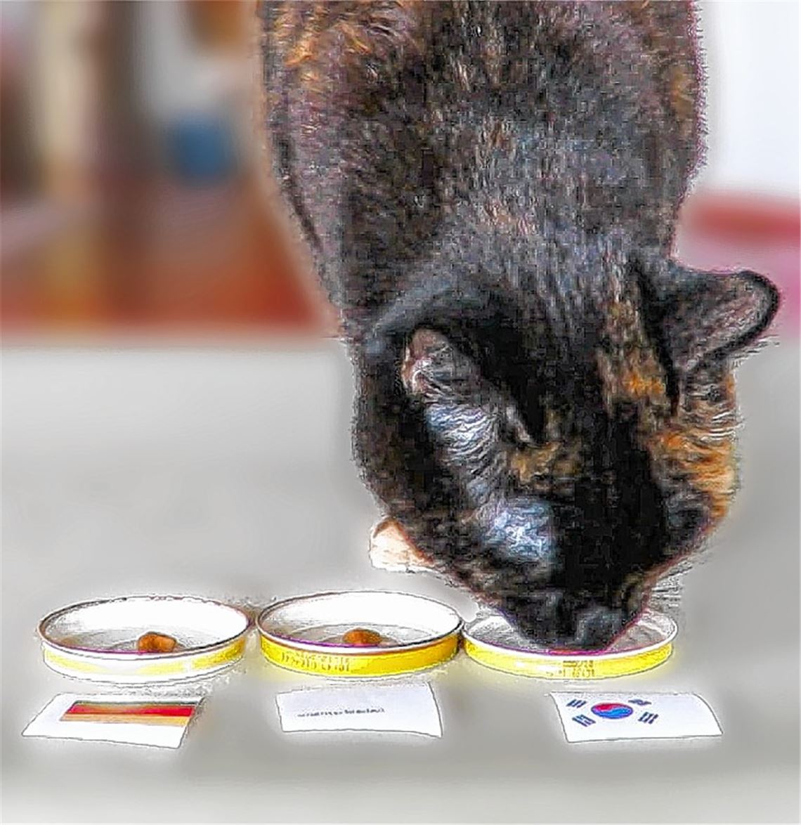 Schlafwagenfußball im Urlaubsmodus