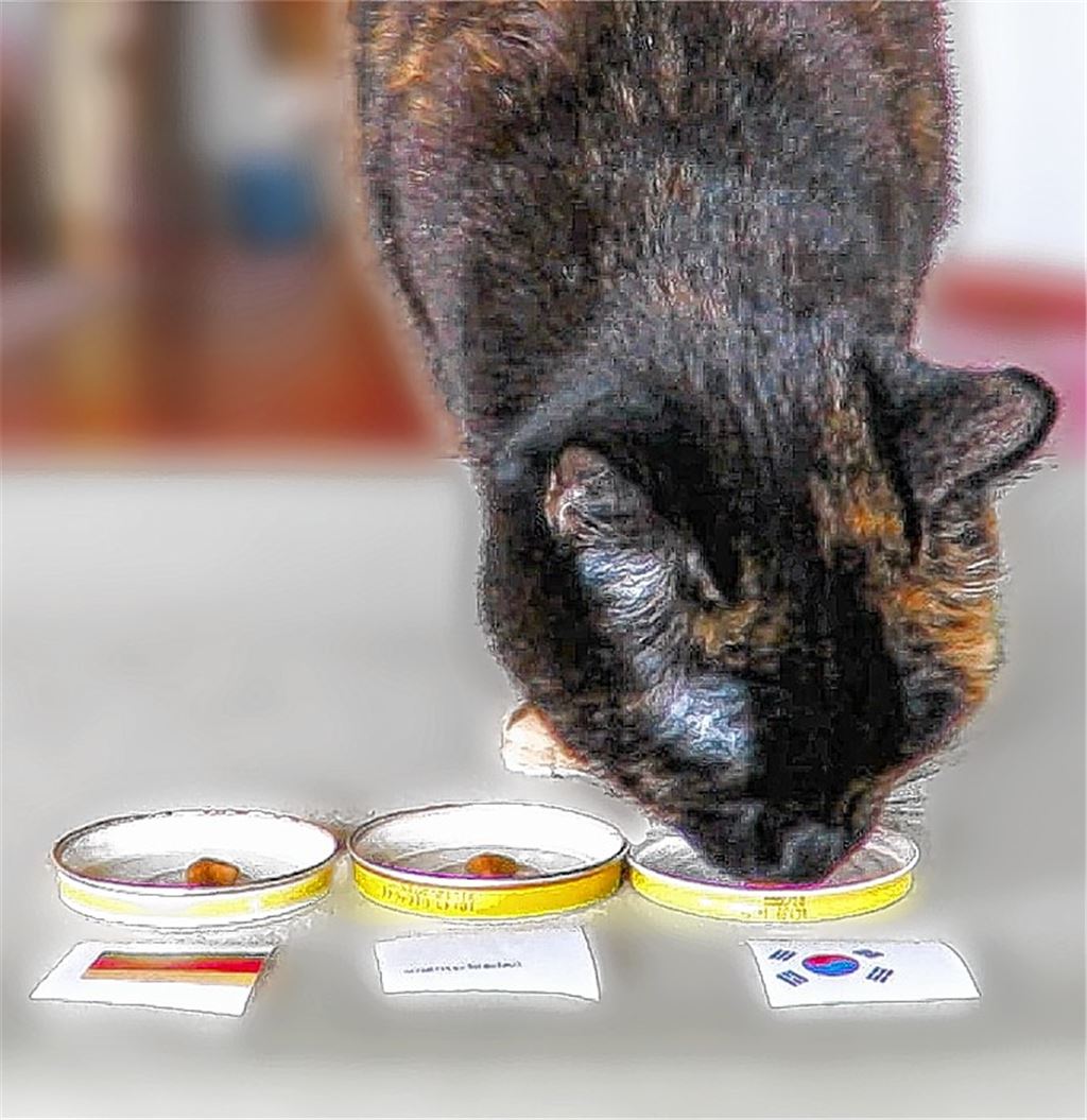 Schlafwagenfußball im Urlaubsmodus