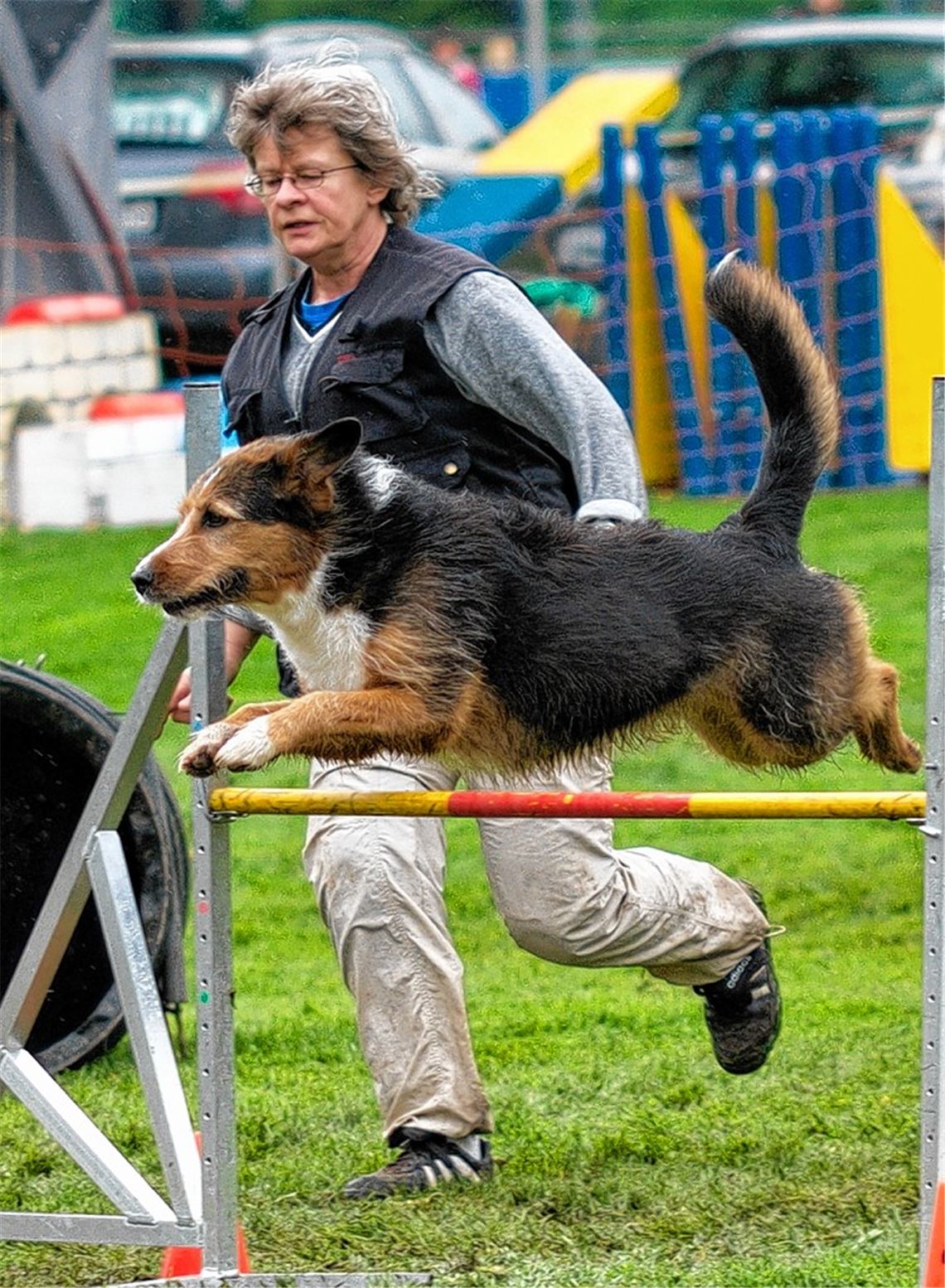 Edith Seyfried belegt mit Floh(im Bild) Platz drei und mit ihrem zweiten Hund Arco Platz eins in ihrer Startklasse AII large.