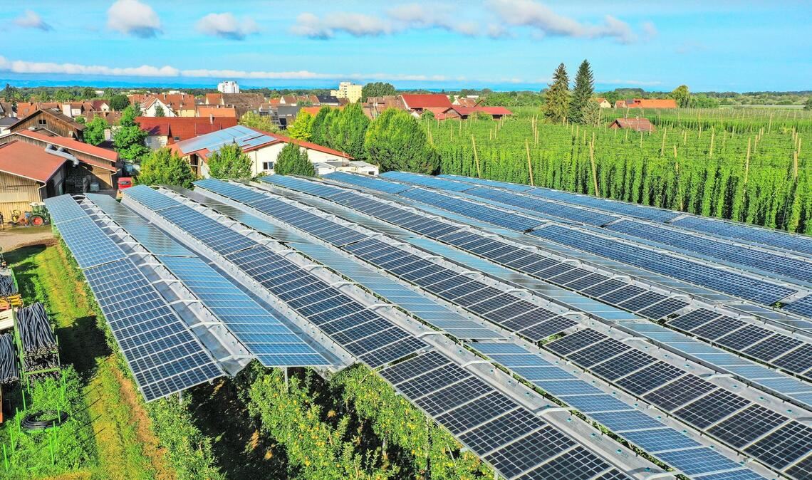 Effektive Landwirtschaft und Innovation hängen eng  zusammen. Die EU fördert in diesem Bereich viele Projekte – nicht immer mit Erfolg.