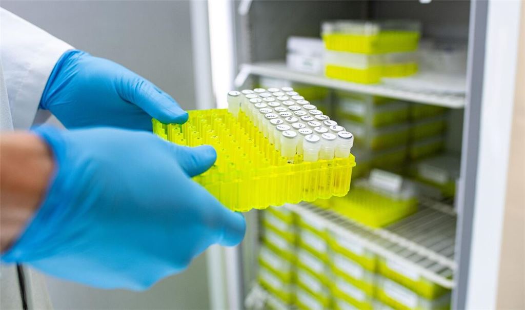 Ehec steht für enterohämorrhagische Escherichia coli und bezeichnet bestimmte krankmachende Stämme dieses im Darm vorkommenden Bakteriums.