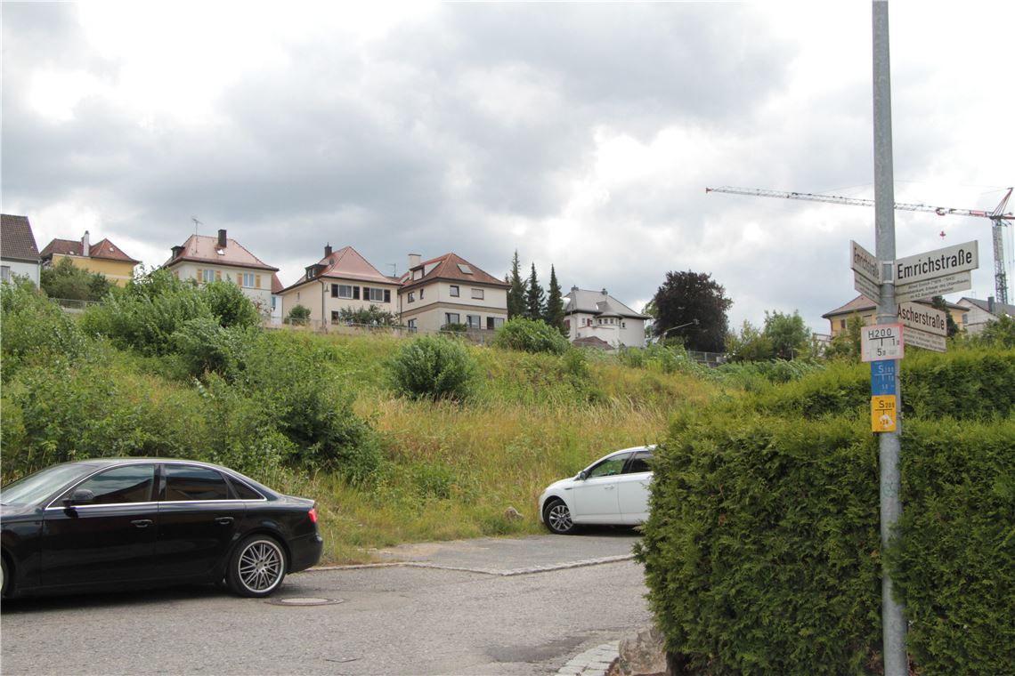 Eigentlich gar nicht im Lindach, sondern in Wahrheit in der Goldshalde oberhalb der Ascherstraße liegt das Grundstück, wo die Lindach-Sporthalle entstehen soll. Foto: Eigner
