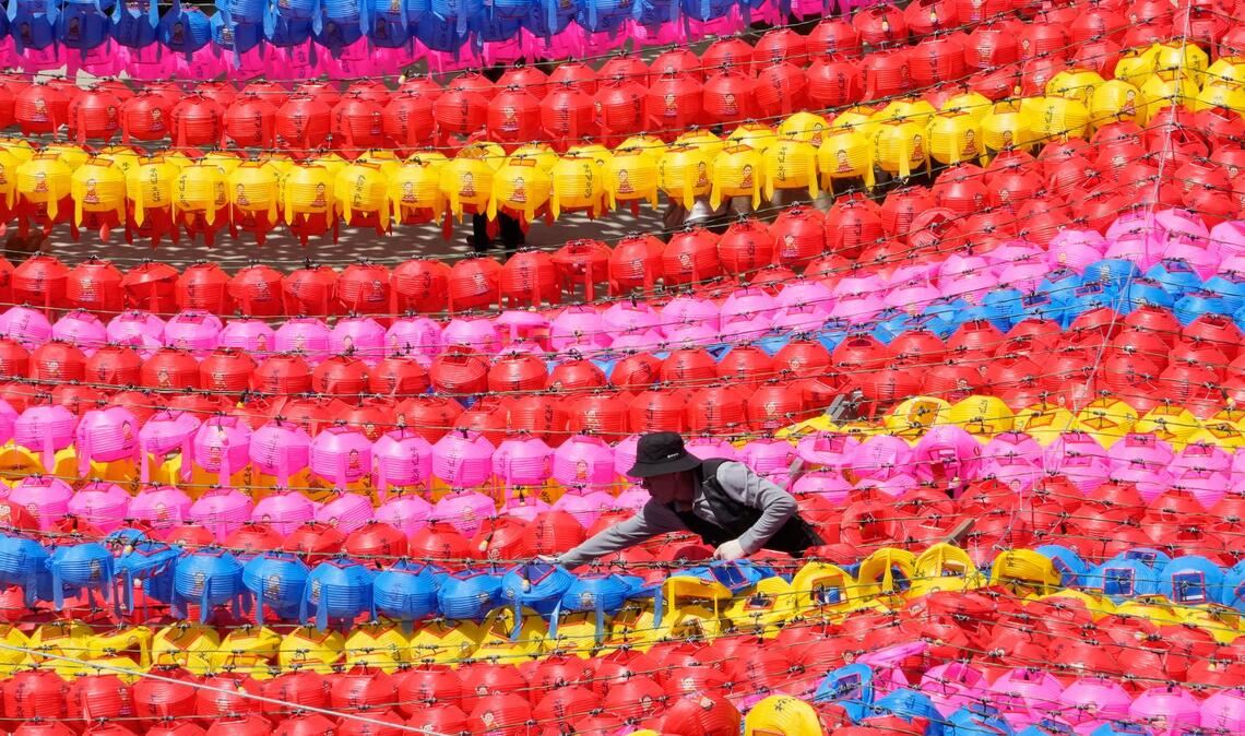 Ein Arbeiter arrangiert Laternen für die bevorstehenden Feierlichkeiten zu Buddhas Geburtstag in der südkoreanischen Hauptstadt Seoul.