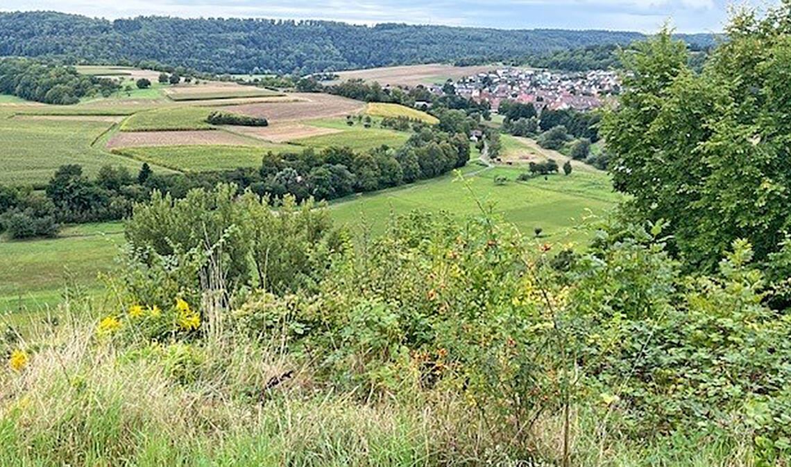 Ein Areal in den Mühlhäuser „Felsengärten“ ist aus kuriosem Grund ungepflegt. Foto: privat