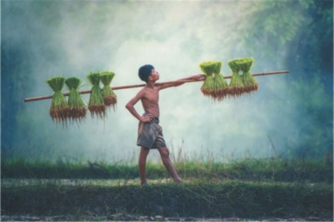 Ein Ausschnitt des Buch-Covers.