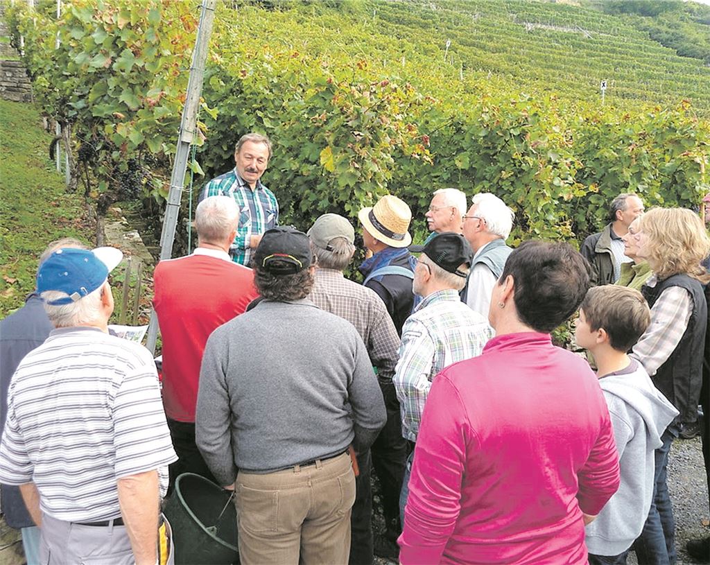 Ein Bild aus Vor-Corona-Zeiten: Rolf Allmendinger erklärt den Neulingen, wie es im Steillagen-Weinbau läuft. Das Projekt „Wengerter für ein Jahr“ ist eine Erfolgsstory. Archivfoto: privat