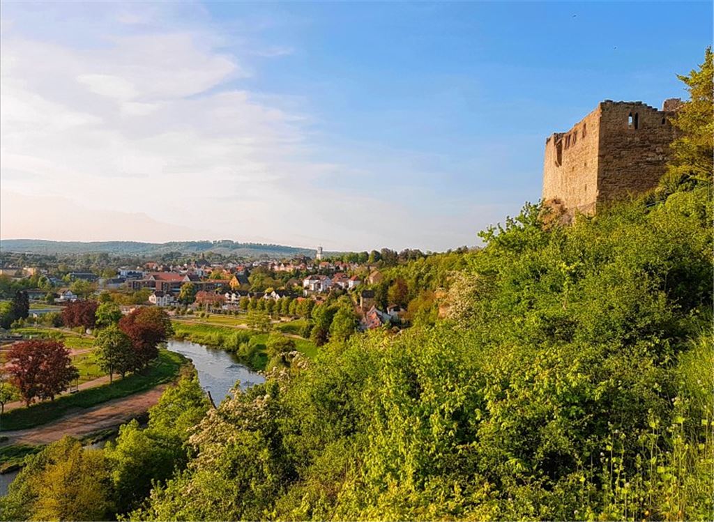 Ein Blick an der Burg Löffelstelz vorbei auf Mühlacker. Anny Maleyes