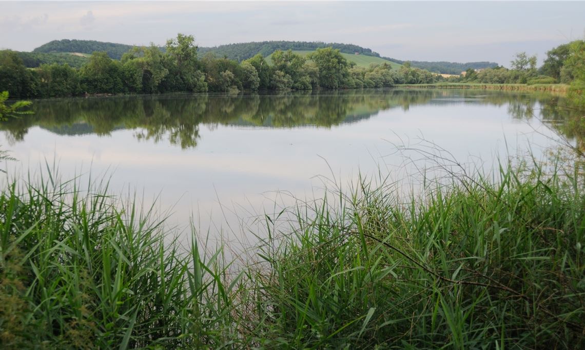 Ein Blick auf den Aalkistensee. Foto: Archiv