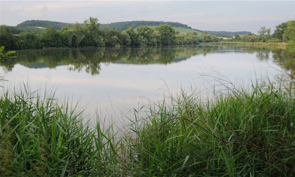 Ein Blick auf den Aalkistensee. Foto: Archiv