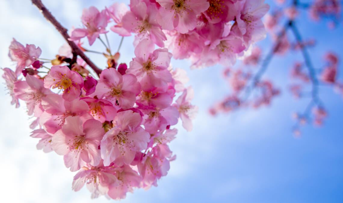 Ein Blick auf die aktuellen Prognosen zeigt, wann Sonne und milde Temperaturen zurückkehren. Erfahren Sie, wann das Wetter wieder besser wird.