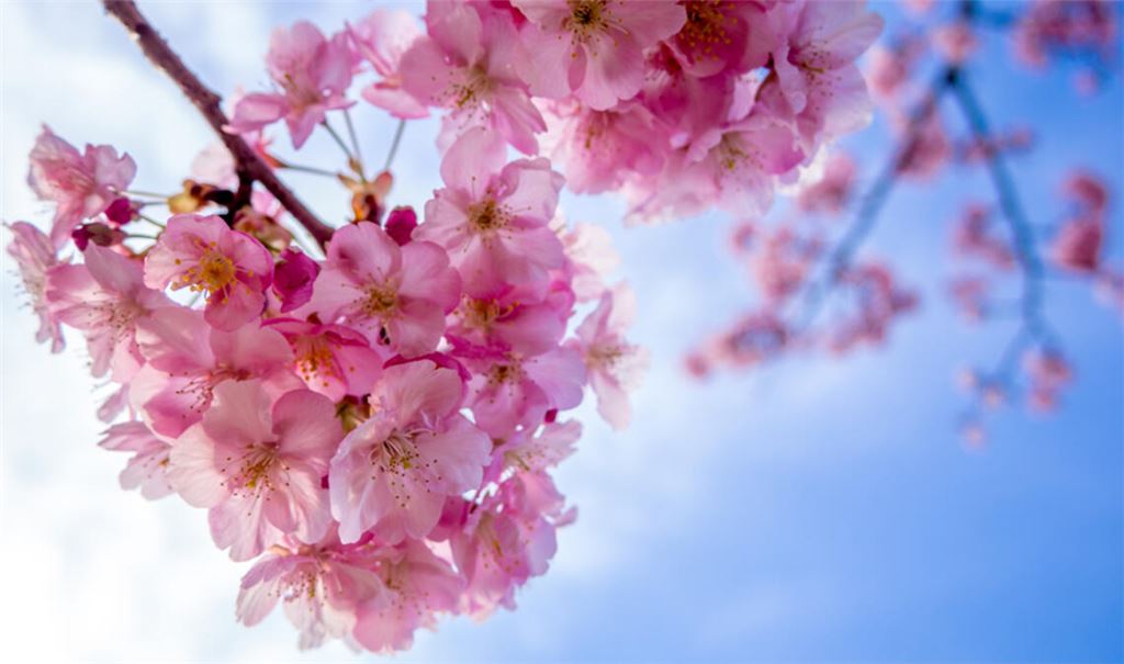 Ein Blick auf die aktuellen Prognosen zeigt, wann Sonne und milde Temperaturen zurückkehren. Erfahren Sie, wann das Wetter wieder besser wird.