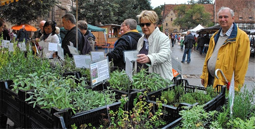Ein Dufterlebnis: der Kräuter- und Erntemarkt in Maulbronn.Foto: Stahlfeld