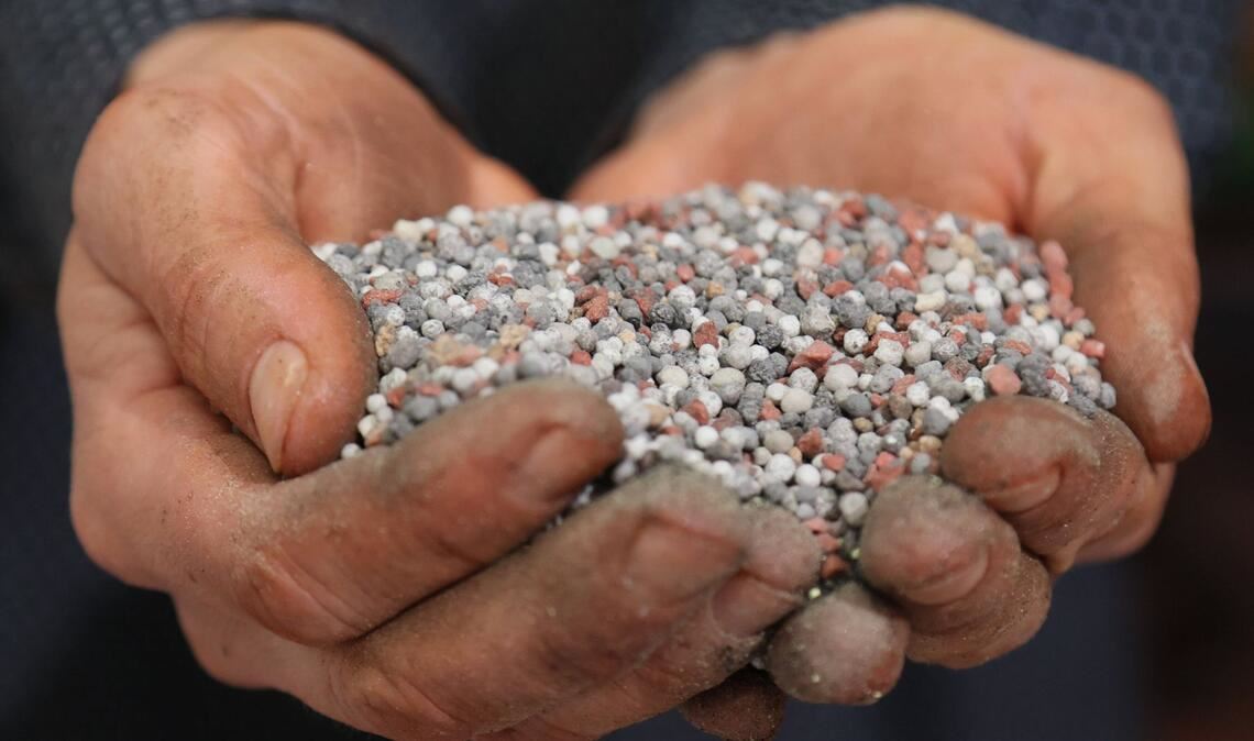 Ein Großteil des für die Ernährung wichtigen Elements Phosphor gelangt als Dünger auf Ackerflächen.