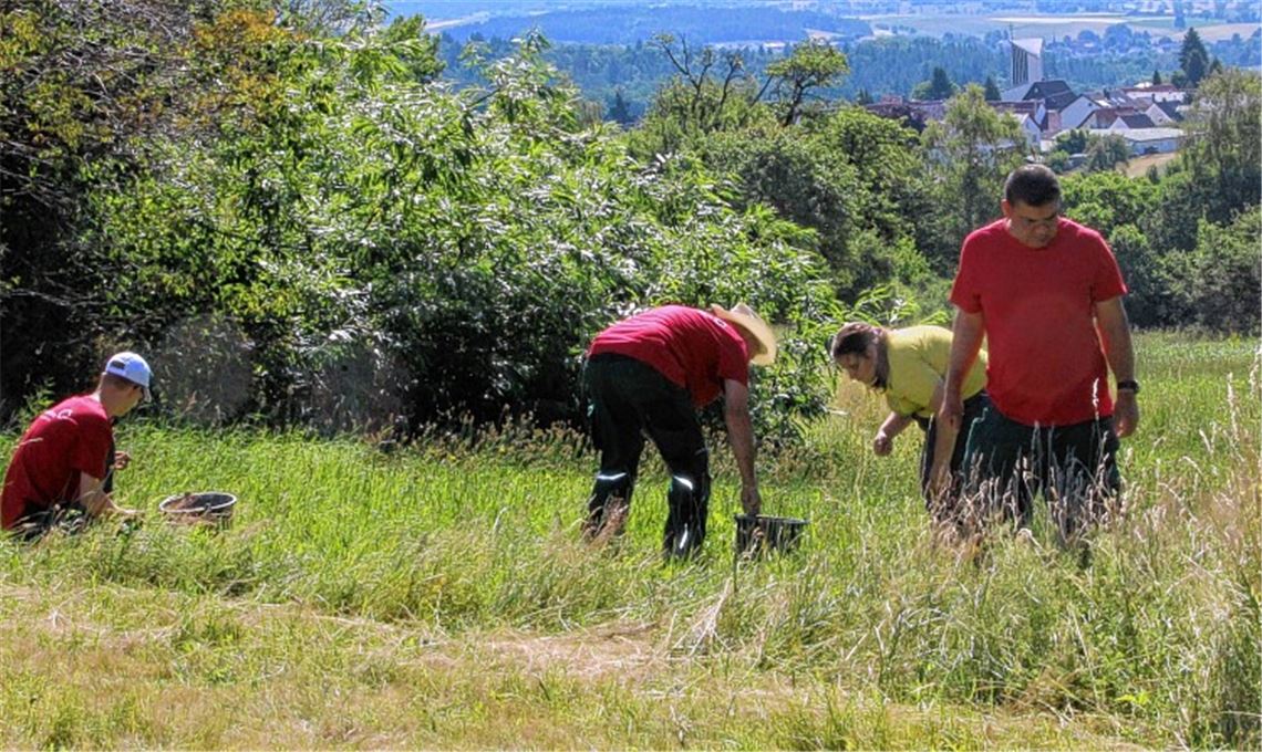 Projekt als Beitrag zum Erhalt von Flora und Fauna