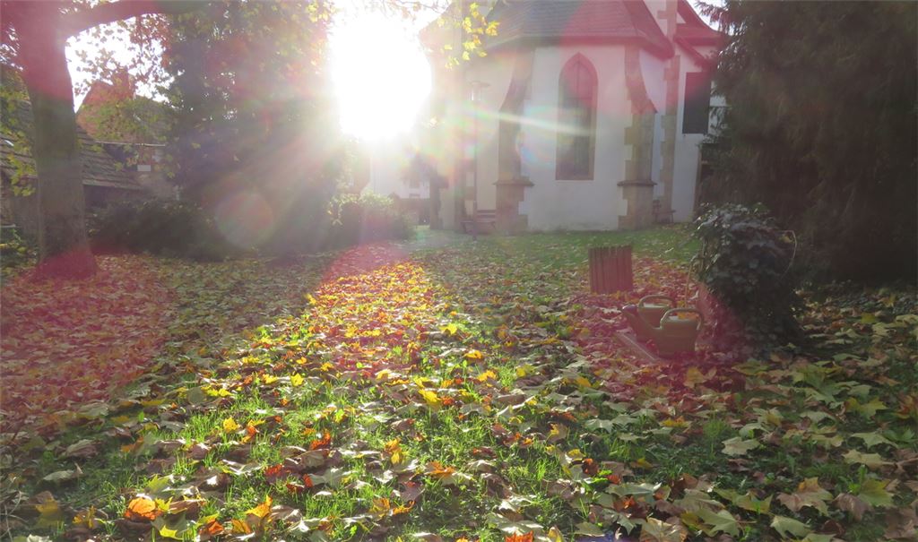 Ein Hauch von Ewigkeit flutet mit dem Licht der untergehenden Sonne den Kirchhof in Lomersheim. Fotos: Becker