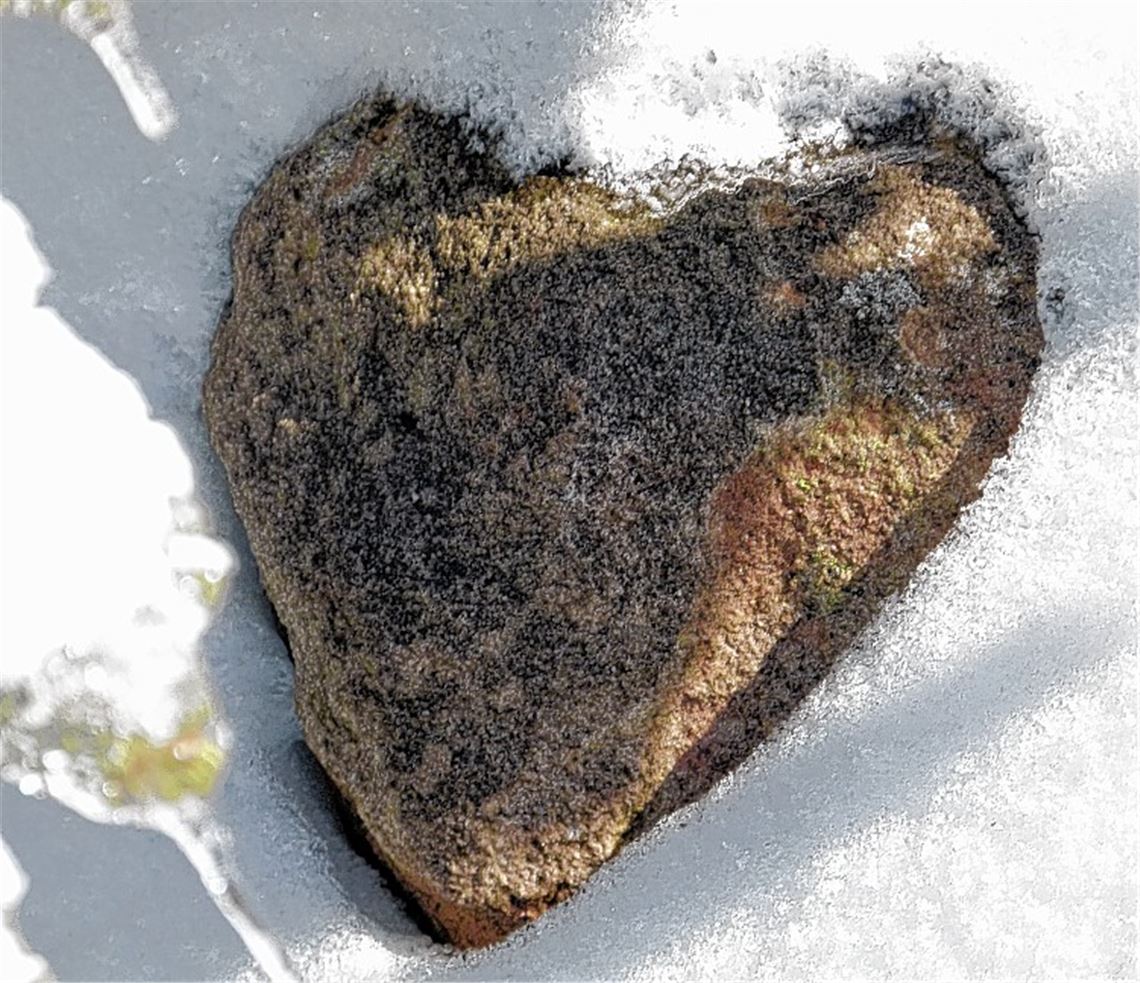 Winterbilder