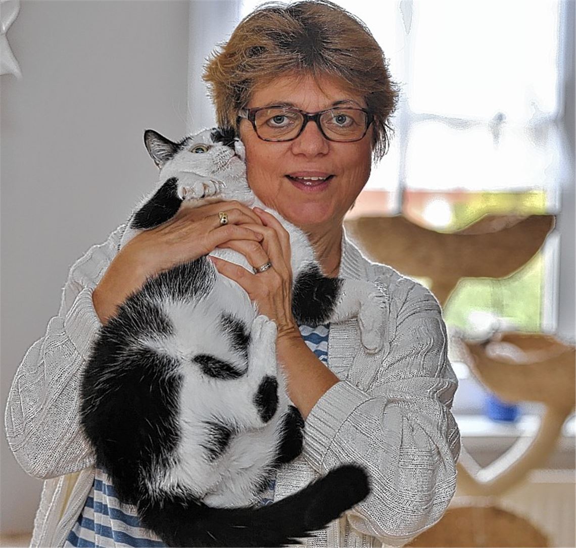 Wenn sich die Mieze den Halter aussucht