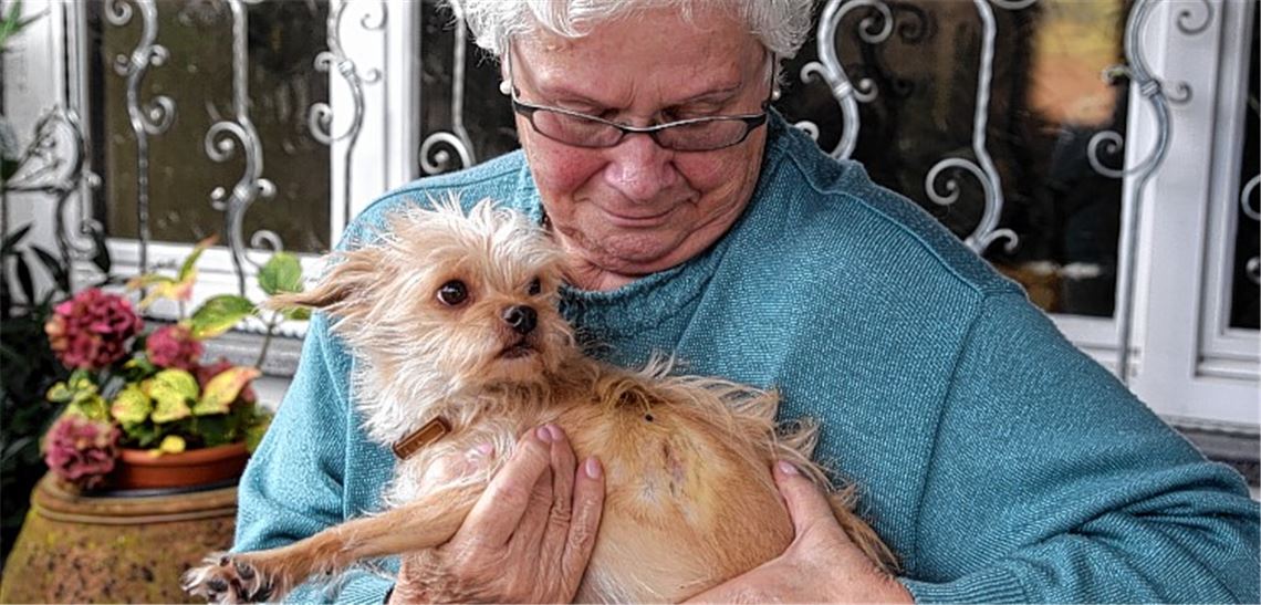 Ein Herz und eine Seele: Ursula Fischer mit ihrem geliebten Mischlingshund Andi, der einer Bissattacke zum Opfer gefallen ist. Frauchen zeigt die Verletzungen auf der linken Körperhälfte.Foto: Franz