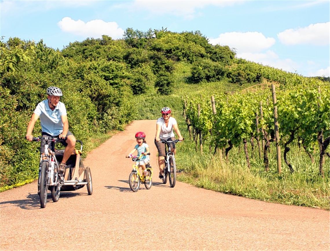 Ein Highlight für Einheimische und Touristen gleichermaßen: Die landschaftlich reizvolle Region mit dem Fahrrad erkunden.