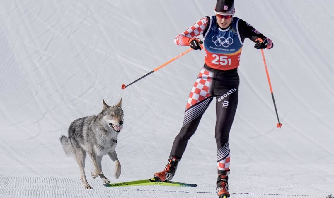 Ein Hund hat im olympischen Langlaufstadion für kuriose Bilder gesorgt.