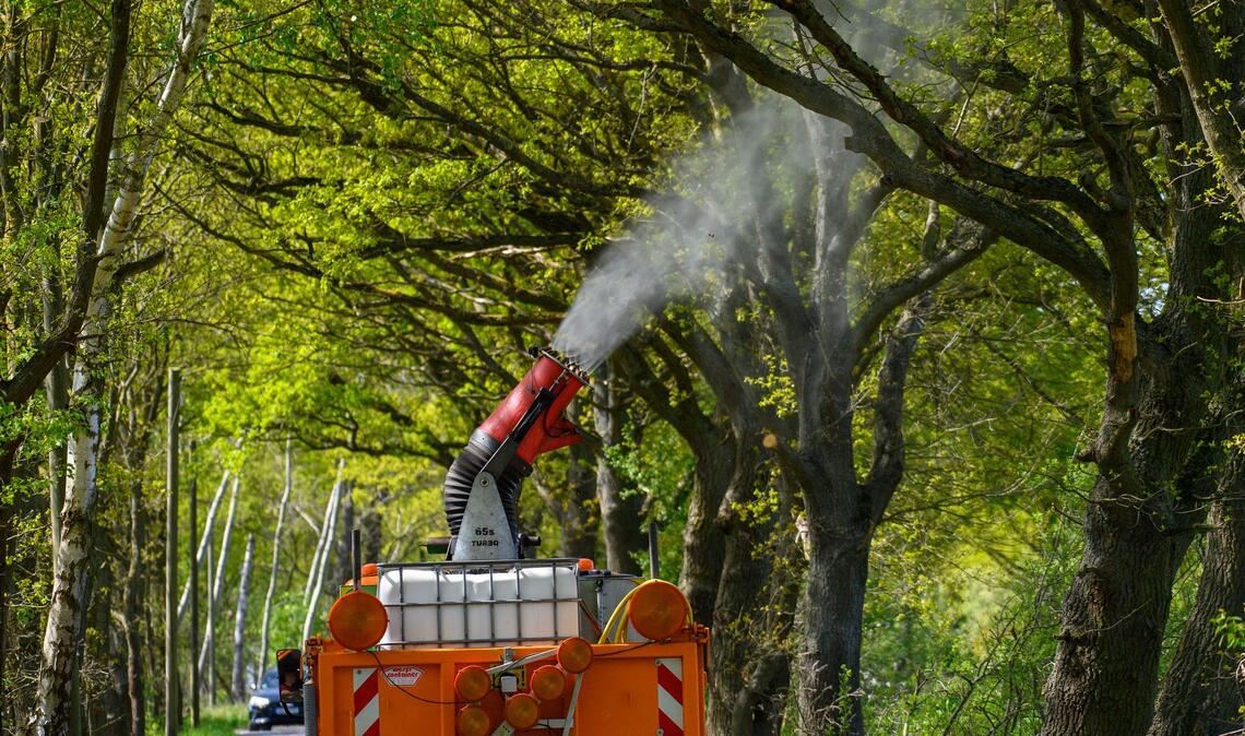 Ein Lastwagen mit einer montierten Sprühkanone bekämpft Eichenprozessionsspinner.