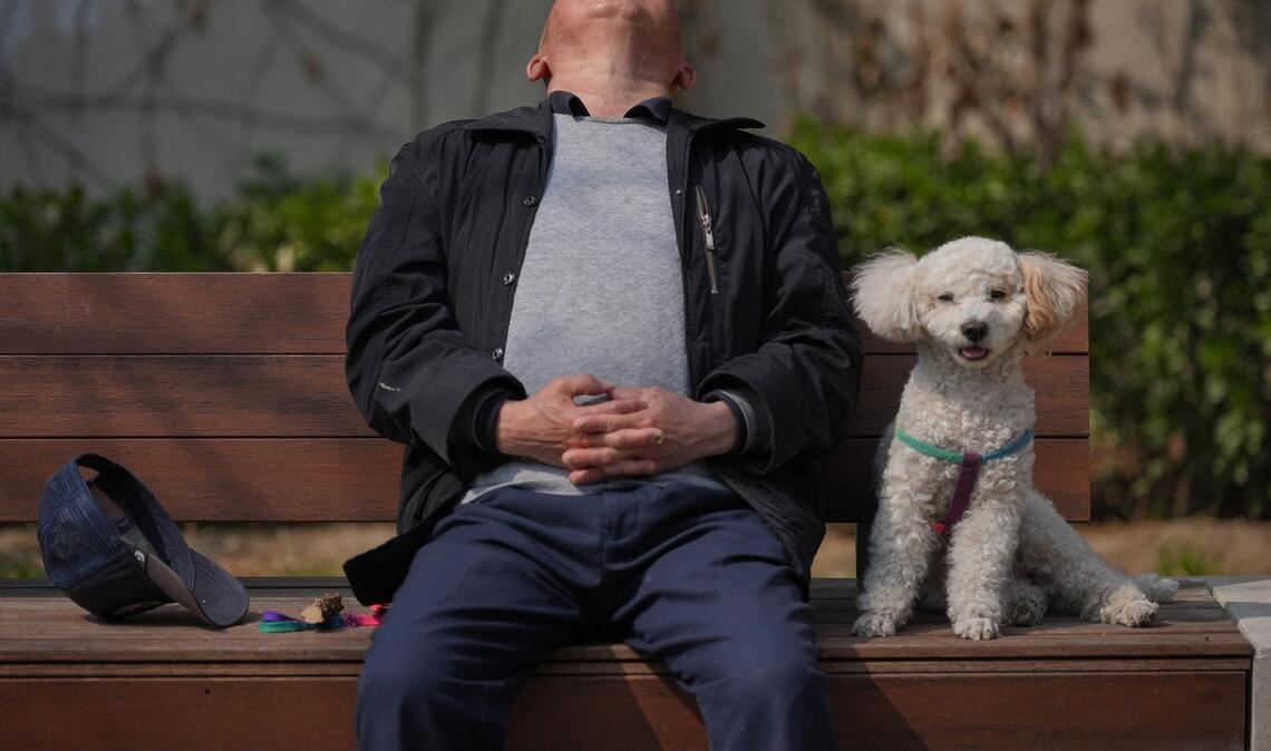 Ein Mann macht ein Nickerchen neben seinem Hund auf einer Bank in Peking.