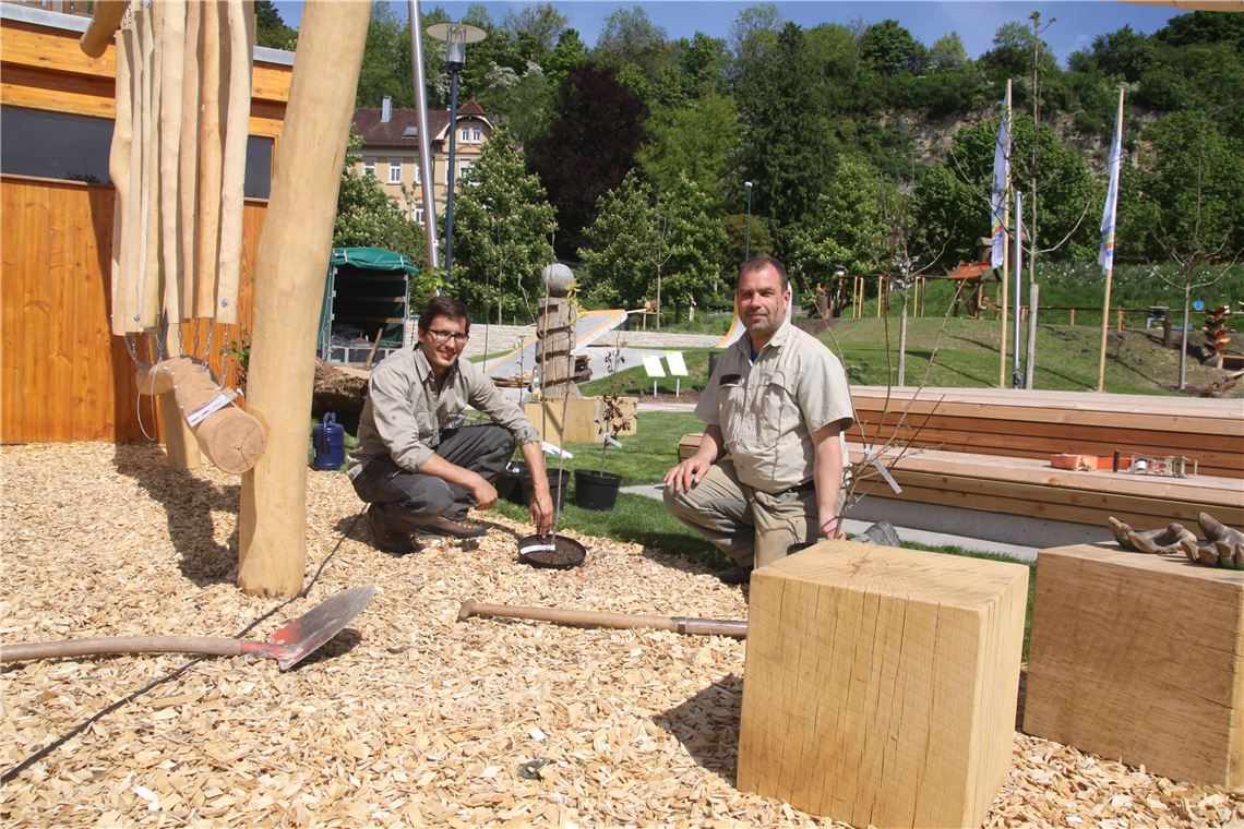 Ein Mann soll in seinem Leben unter anderem einen Baum pflanzen: Diese Herausforderungen meistern die Forstarbeiter am Tag vor der Gartenschau-Eröffnung gleich mehrfach. Foto: Deeg
