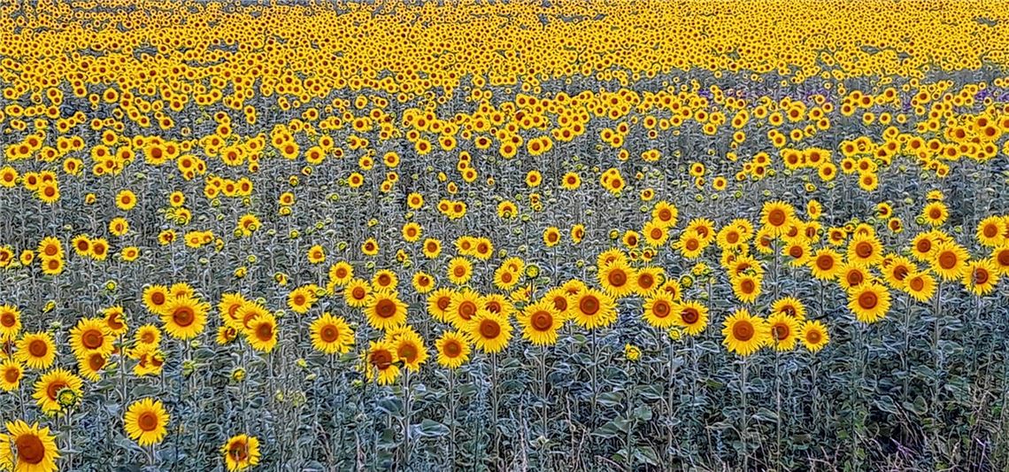 Sommerzeit