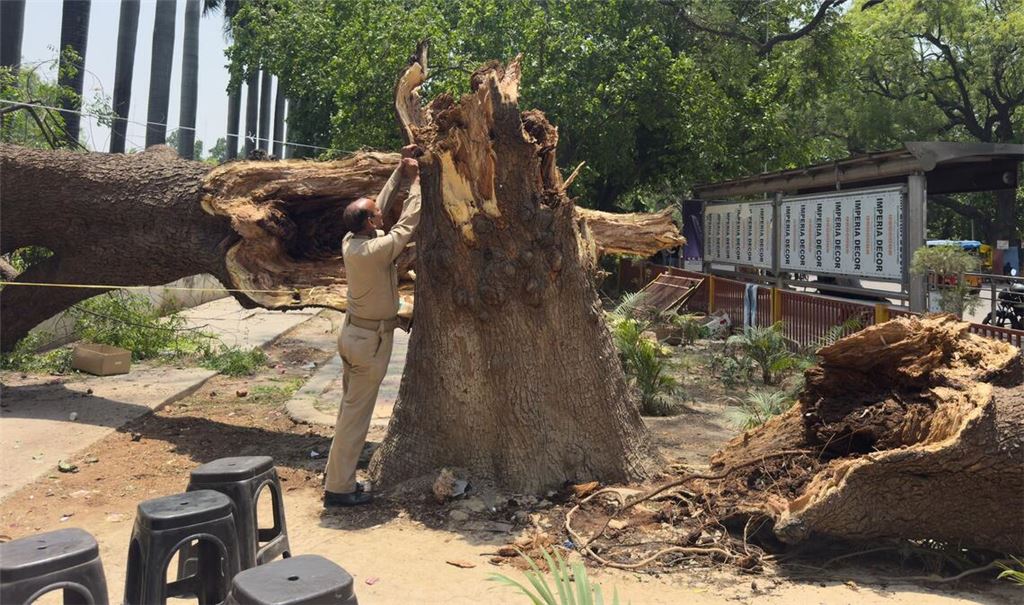 Ein Mitglied der Zivilschutzorganisation bindet ein Seil an einen umgestürzten Baum, um nach Stürmen und starken Regenfällen eine Notunterkunft zu errichten.