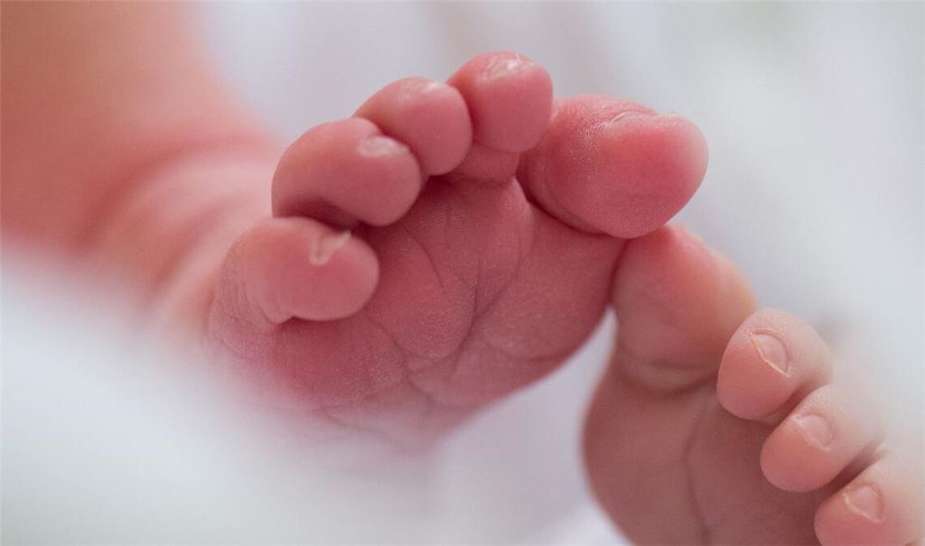 Ein Nachbar hatte sich wegen Lärms belästigt gefühlt. Seine