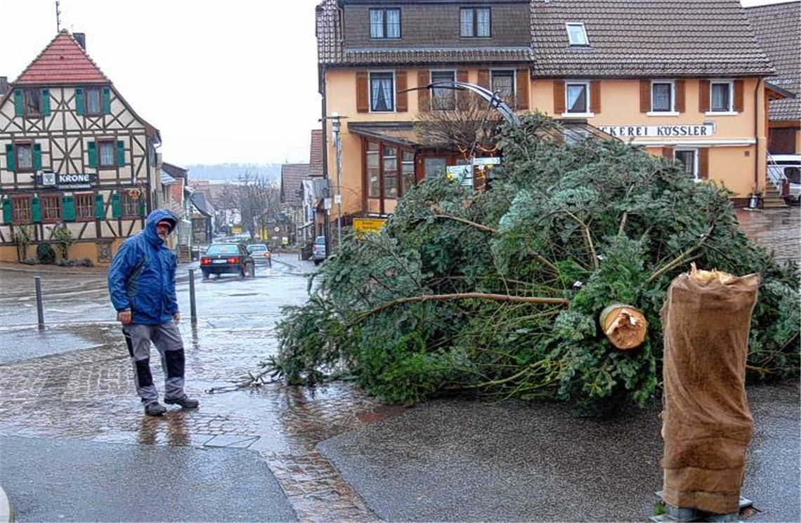 Ein Opfer des Sturms: der Christbaum in Sternenfels.