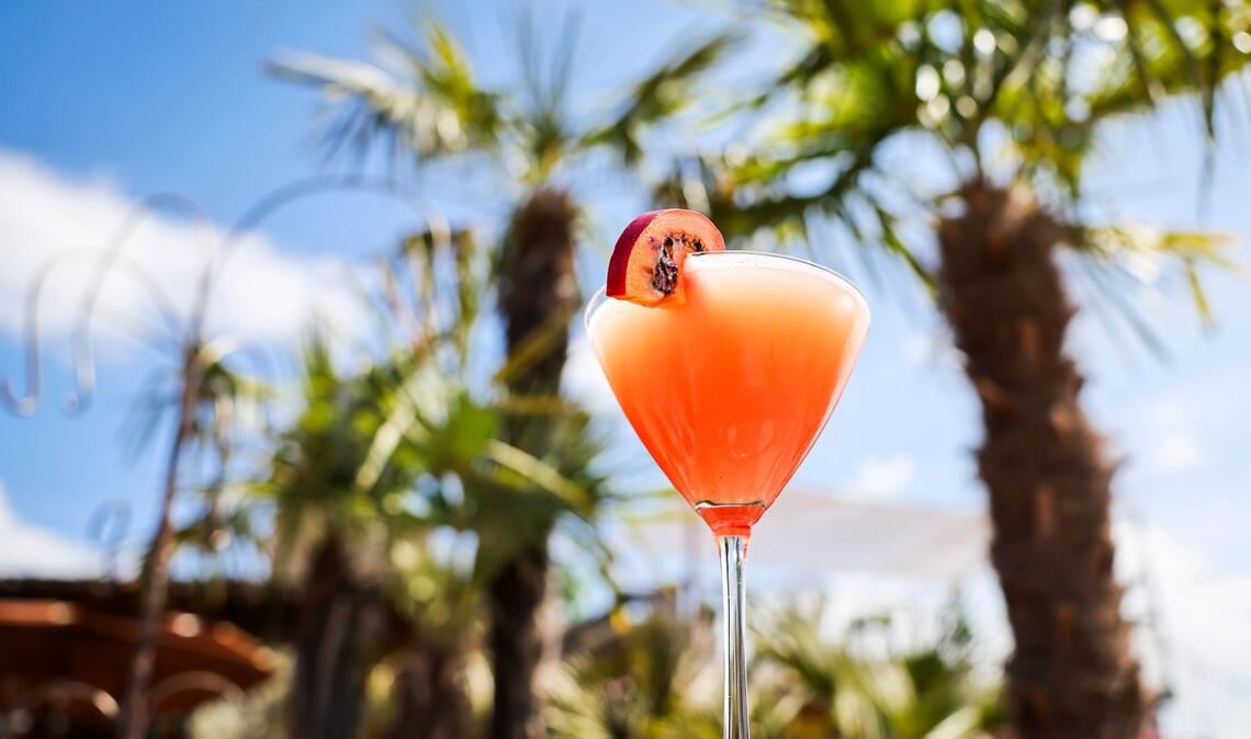 Ein Passionsfrucht Martini (Pornstar Martini oder Maverick Martini) unter Palmen am Hamburger Hafen. (Archivbild)