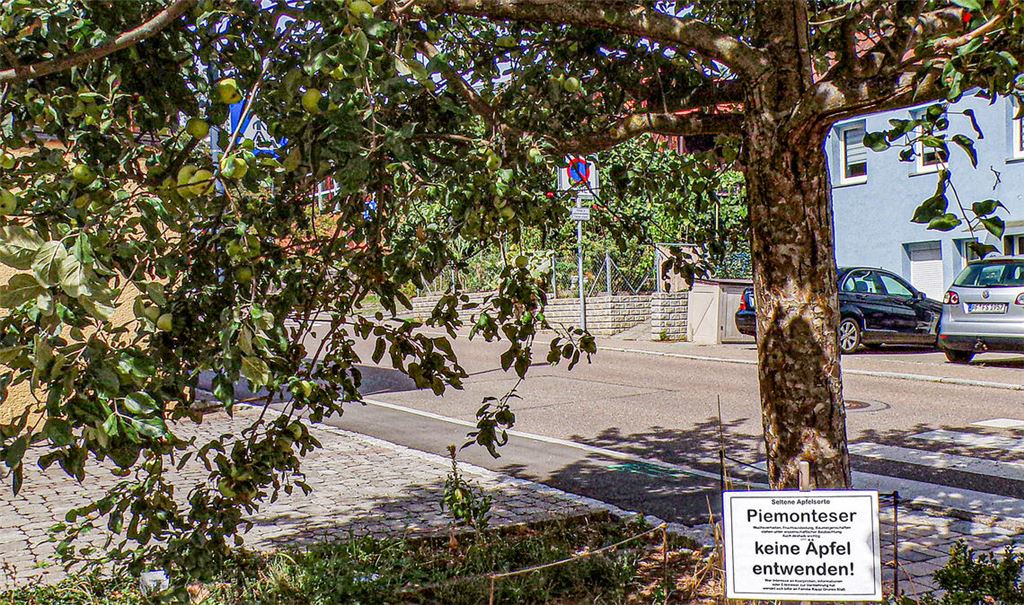 Ein Schild soll Diebe abschrecken. Foto: privat