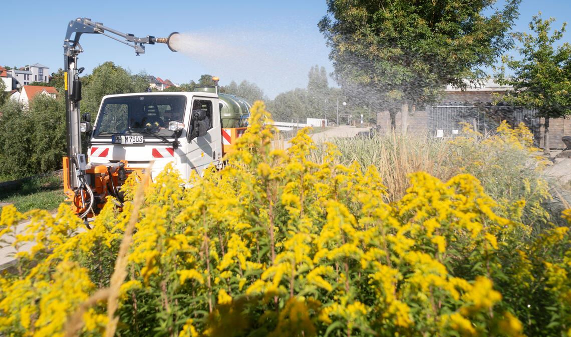 Ein Schwerpunkt bei den Gießeinsätzen der Stadtgärtnerei ist das frühere Gartenschaugelände, das auch im Hochsommer nicht verdorren soll. Fotos (2): Fotomoment