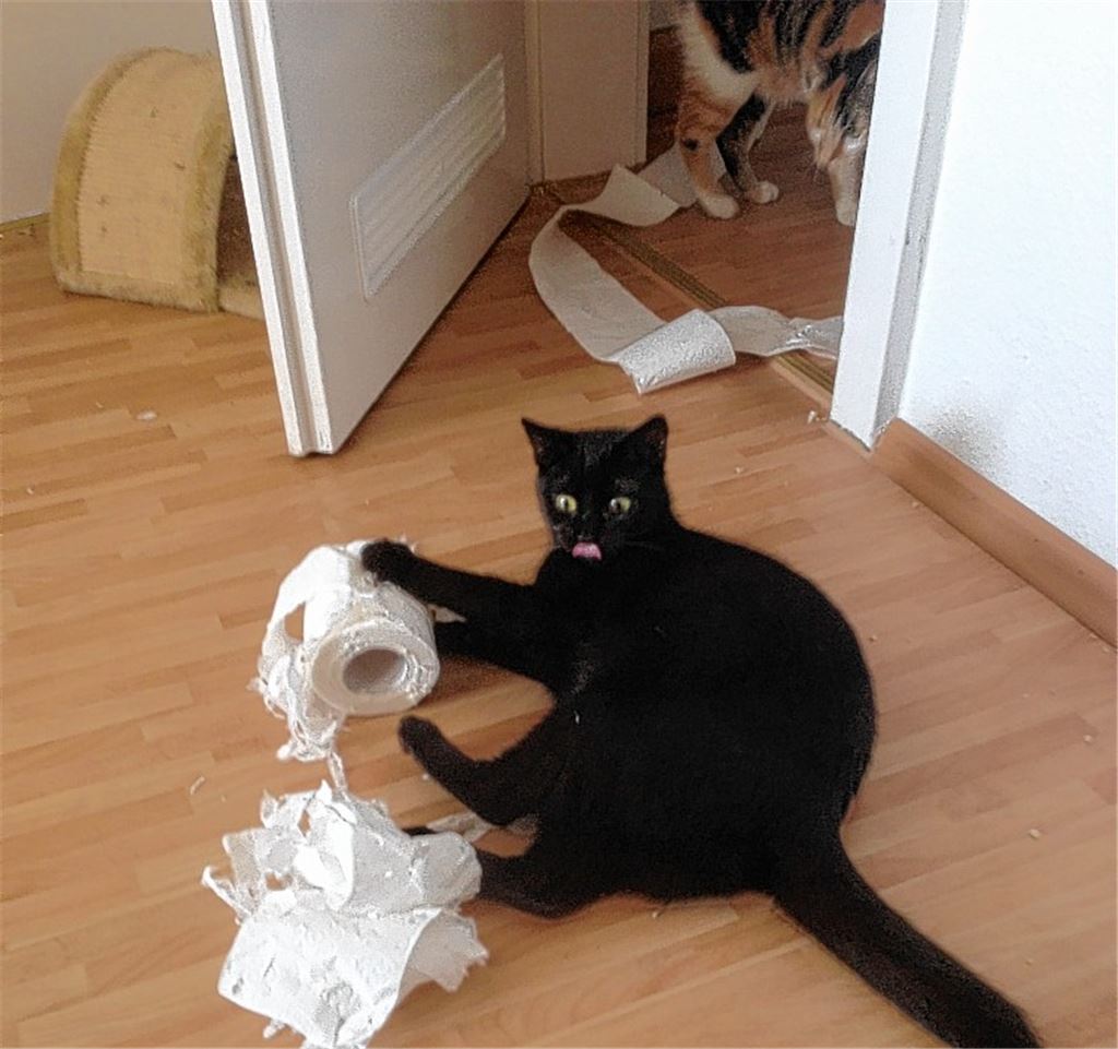 Ein Spielzimmer für Arwen (vorne) und Adira.