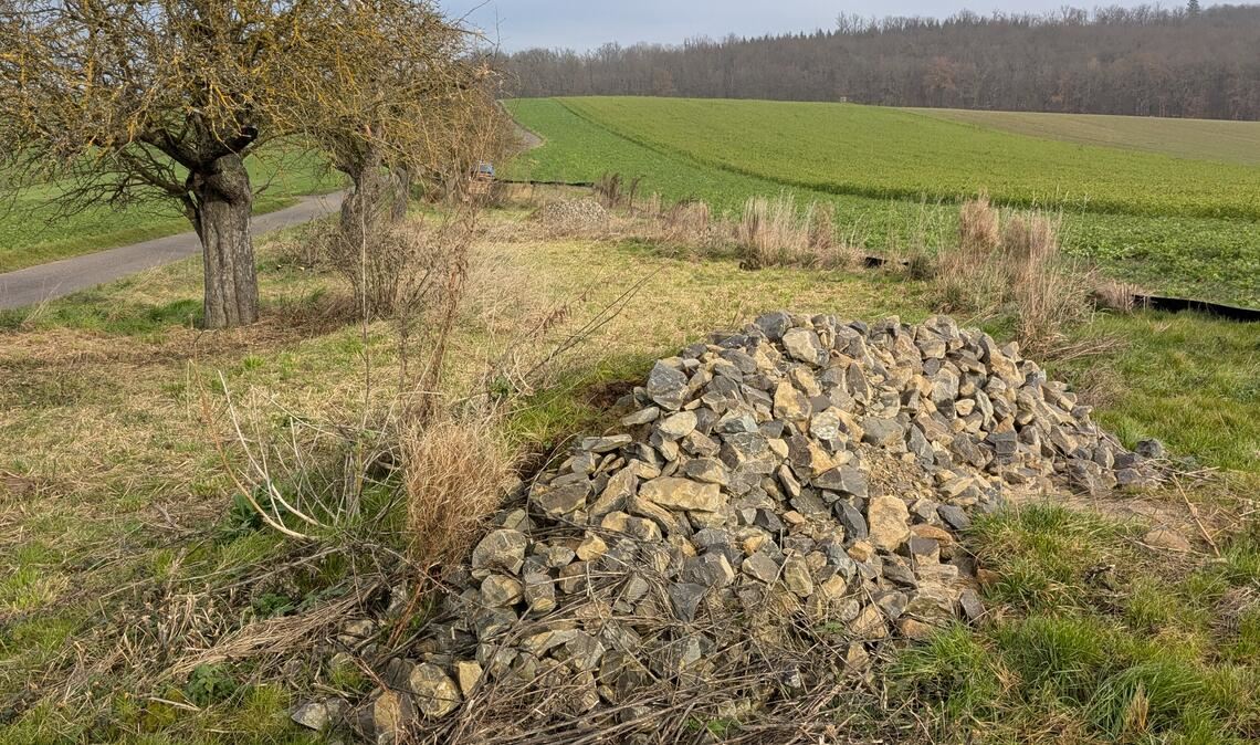 Ein Steinhaufen für Eidechsen, eine Hecke, in der Vögel brüten können (Fotos unten): Diese Anlagen sind in Lienzingen entstanden. Die Stadt erklärt die Hintergründe auf Schildern. Fotos: Stadt Mühlacker