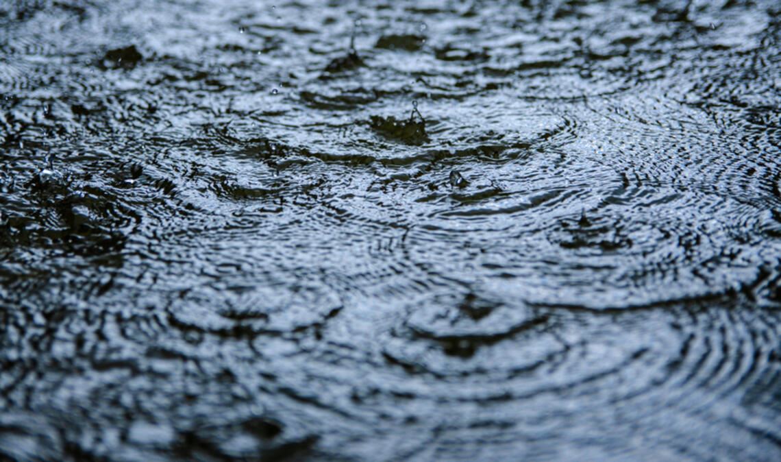 Ein Sturmtief bringt Regen, Sturm und milde Luftmassen nach Deutschland. Was der Deutsche Wetterdienst aktuell meldet und warum es nicht trockener wird.