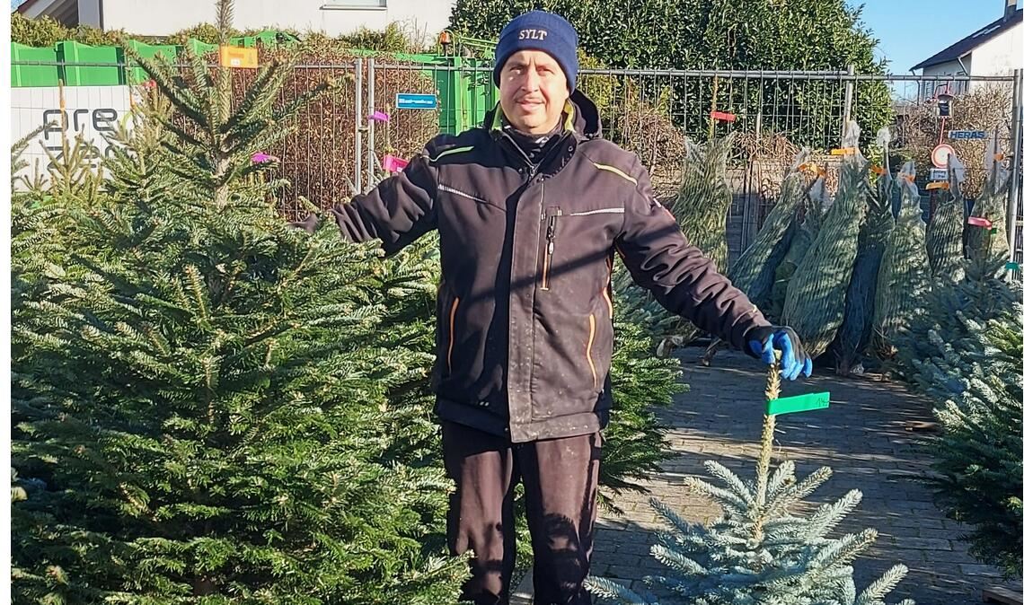 Ein Supermarkt-Parkplatz sieht plötzlich wie ein Wald aus. Untrügliches Zeichen dafür, dass Weihnachten naht. Jochen Jacobsen hat große und kleine Weihnachtsbäume parat. Fotos: Stahlfeld, privat