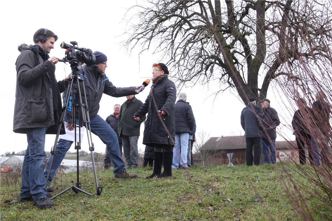 Ein Team des ZDF-Länderspiegels dreht einen Film über den Birnbaum im Lomersheimer Kreisel. (Foto: Disselhoff)
